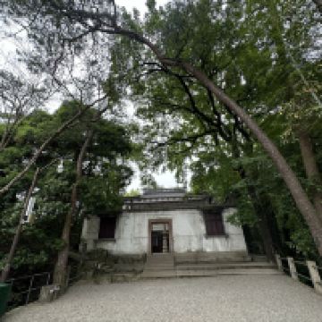 評論圖片 7