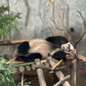 評論圖片 8