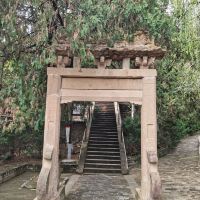 評論圖片 2