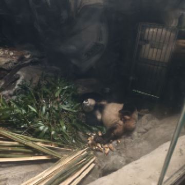評論圖片 7