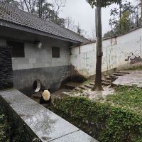 評論圖片 4