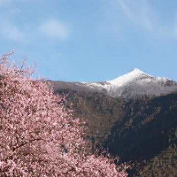 評論圖片 5