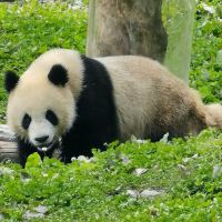 評論圖片 9