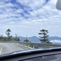 評論圖片 5