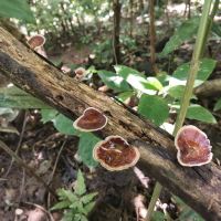 評論圖片 2