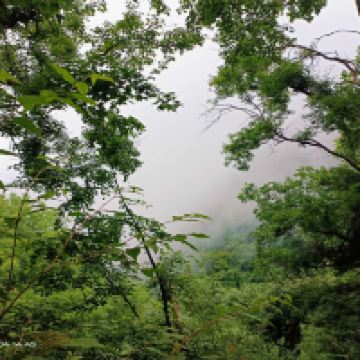 評論圖片 2