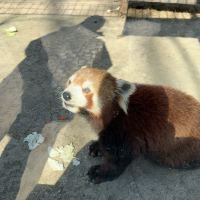 評論圖片 6