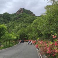 評論圖片 1