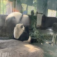 評論圖片 5