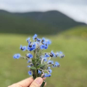 評論圖片 3