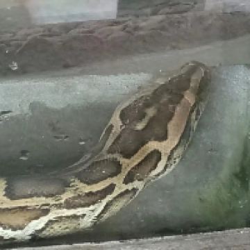 評論圖片 1