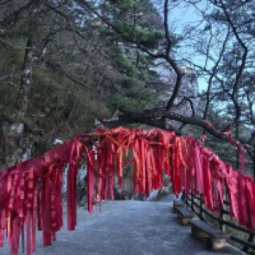 評論圖片 6