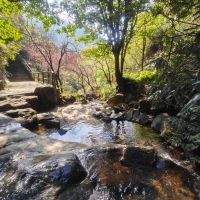 評論圖片 3