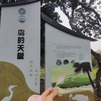 評論圖片 5