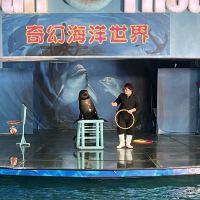 評論圖片 3