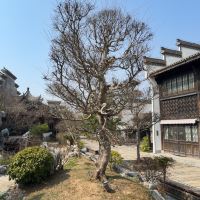 評論圖片 2