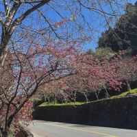 評論圖片 3