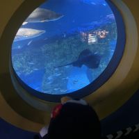 評論圖片 6