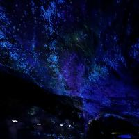 評論圖片 3