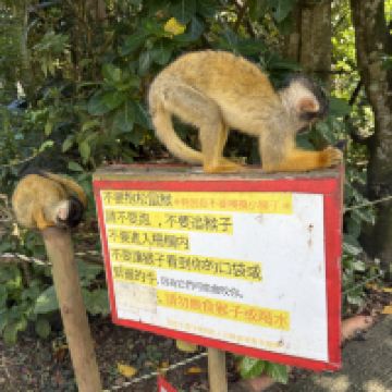 評論圖片 5