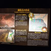 評論圖片 3