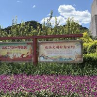 評論圖片 5