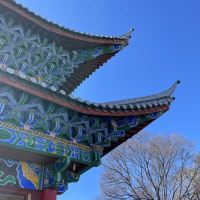 評論圖片 1