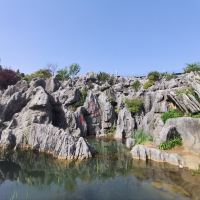 評論圖片 5