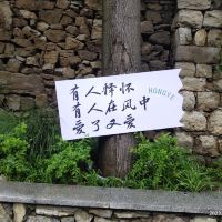 評論圖片 1