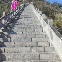 評論圖片 5