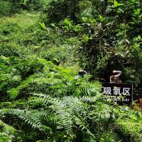 評論圖片 5