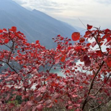 評論圖片 2