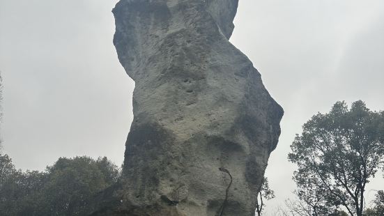 去的那天下雨，还很大，一下子降温，，人也很多，鉴湖就没有细细