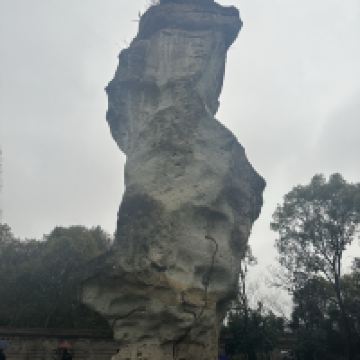 評論圖片 1