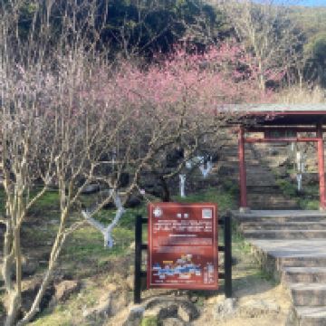 評論圖片 8