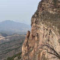 評論圖片 5