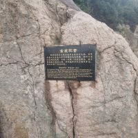 評論圖片 3