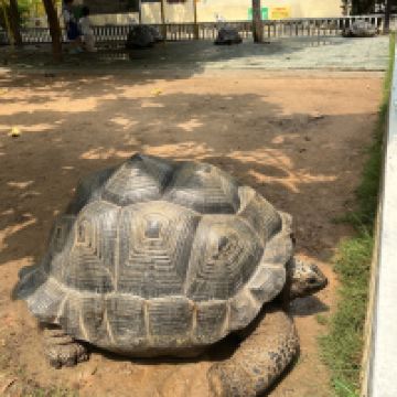 評論圖片 1