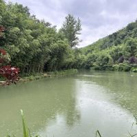 評論圖片 3