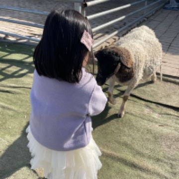 評論圖片 2
