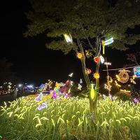 評論圖片 9