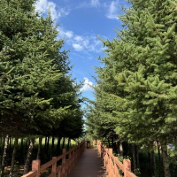 評論圖片 2