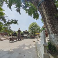 評論圖片 7