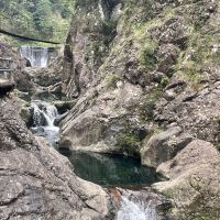 評論圖片 7