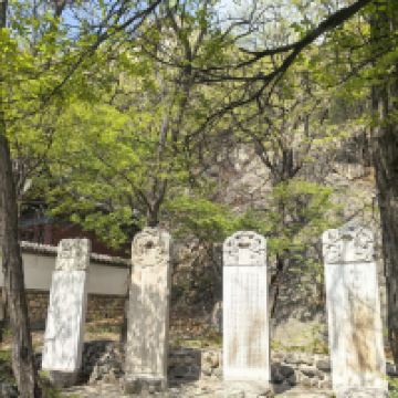 評論圖片 8