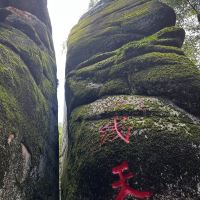 評論圖片 2