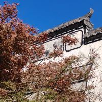 評論圖片 3