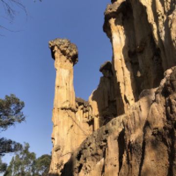 評論圖片 6