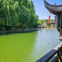 評論圖片 2