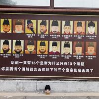 評論圖片 5